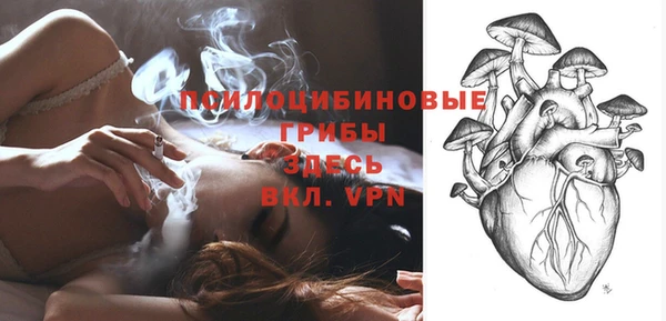 прущий лед Каменногорск