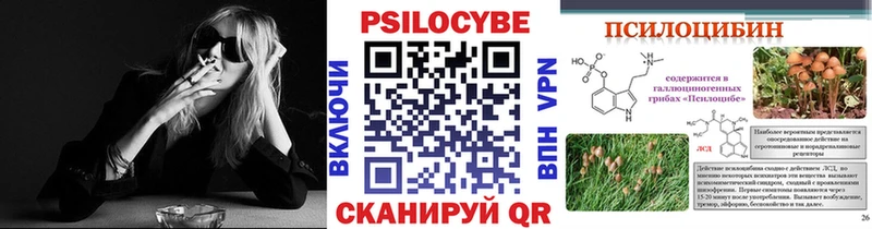 купить   Михайловка  Псилоцибиновые грибы Magic Shrooms 