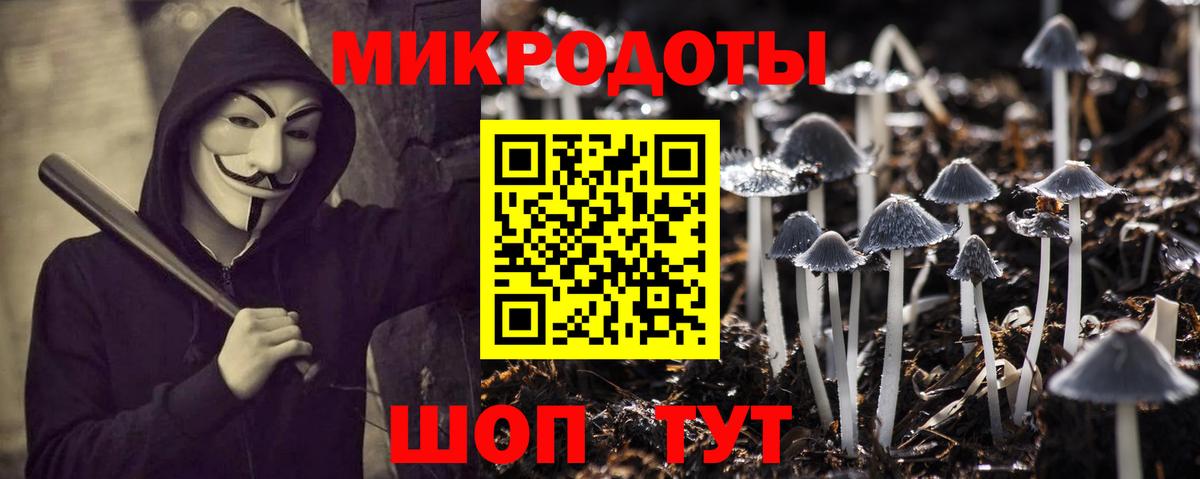 Михайловка  Псилоцибиновые грибы Psilocybe  Вход с VPN  Галлюциногенные грибы мухоморы 