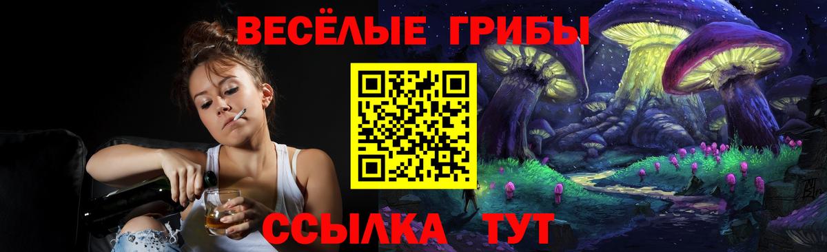 Галлюциногенные грибы мицелий Михайловка